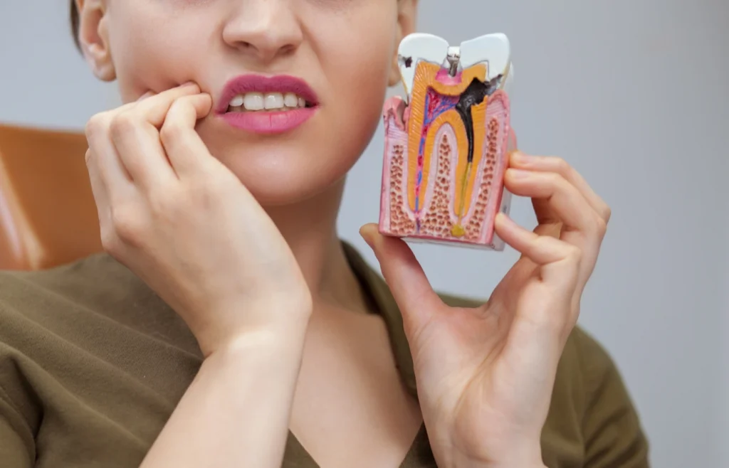 Woman with tooth pain holding a tooth model showing decay, illustrating why some people get cavities.